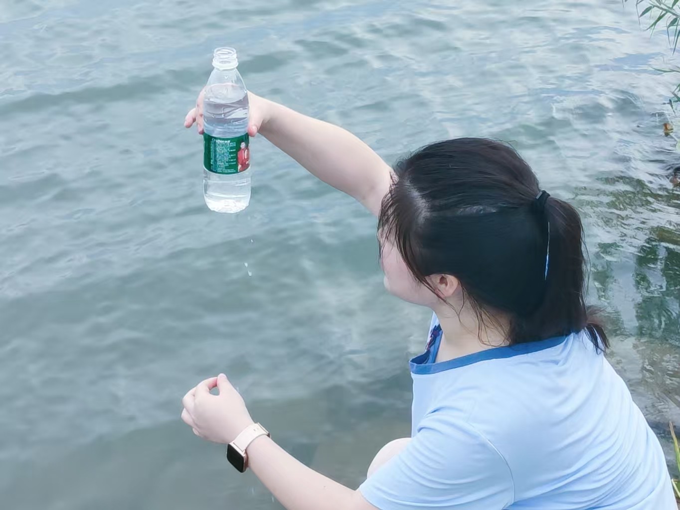 球王会体育官方网