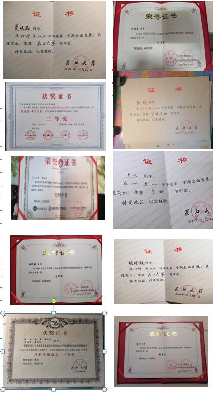 球王会体育官方网